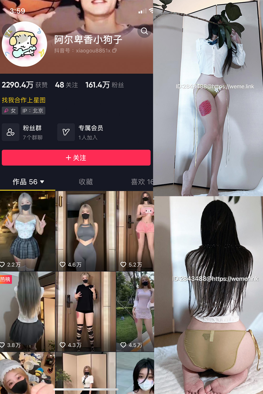 抖音 阿尔卑香小狗子 微密圈  NO.047期 【39P】最新至：2024.6.10-维密小圈